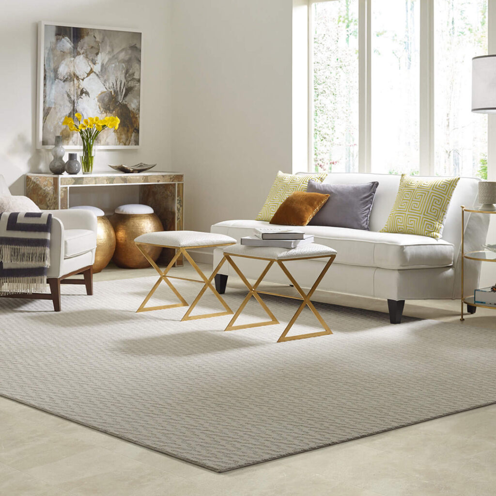 Area rug | Carpet Selections