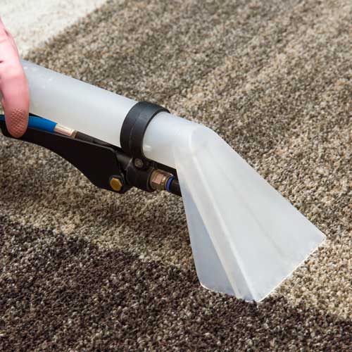 Carpet care | Carpet Selections